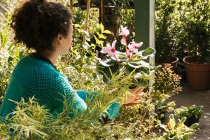 Jardines sensoriales